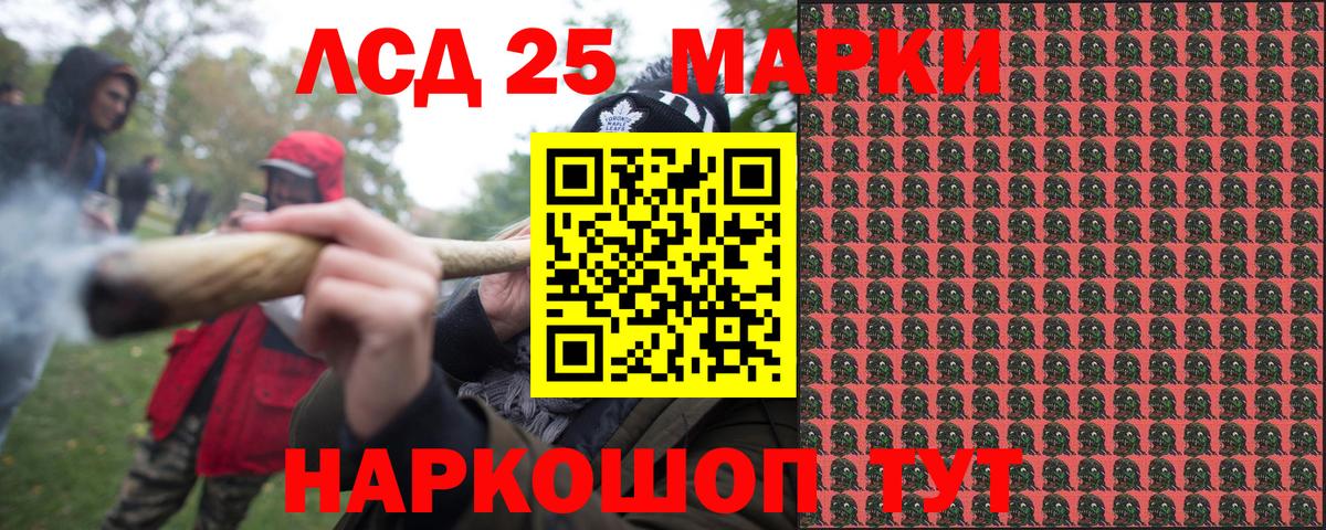 где купить наркоту  Вход с VPN  Марки NBOMe 1500мкг  Чехов  Марки NBOMe 1500мкг 